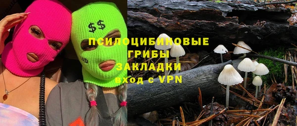 первитин Новозыбков