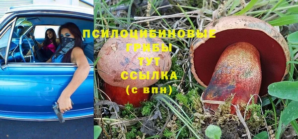кристаллы Новокубанск