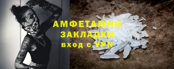 шишки Абаза