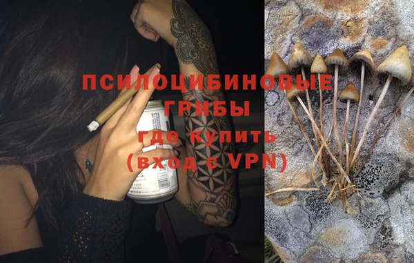 apvp Новодвинск