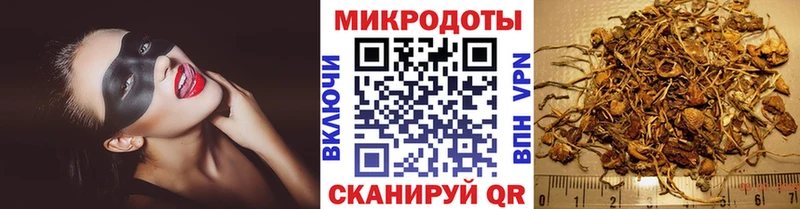Псилоцибиновые грибы Psilocybe  Правдинск 