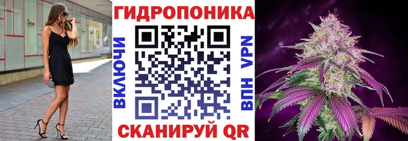 Шишки марихуана LSD WEED  MEGA маркетплейс  Правдинск 
